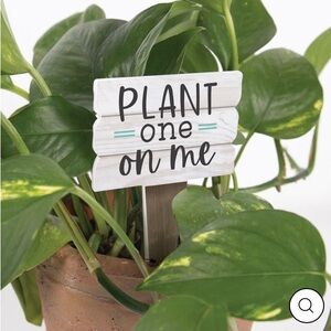 Decorative Plant Sign - 'Plant One On Me'